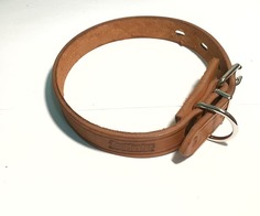 Ошейник ZooMaster кожаный, 25 мм х 55 см (48-55 см), 1-слойный, с тиснением