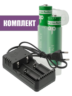 Аккумуляторные батарейки с зарядным устройством 2,4А, 2 слота, от сети 220В No Brand