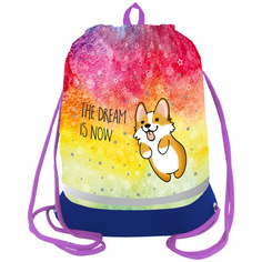 Мешок для обуви 1 отделение Berlingo Corgi boy 510x400мм расшир. дно светоотр. Лента