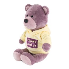 Мягкая игрушка Ronny&Molly Мишка Ронни в Толстовке 21 см, RM-R005-21