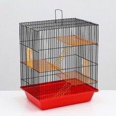 Клетка для грызунов Гризли 4 с металлическими полками и лесенками, 41 х 30 х 52 см, микс No Brand