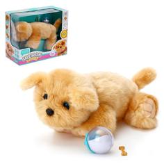 Интерактивная игрушка «Ласковый щенок» No Brand