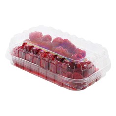 Малина Турция в контейнере 250 г No Brand