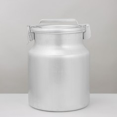 Бидон, 18 л, с крышкой, цвет хромированный Scovo