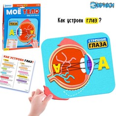 Опыты и исследования Эврики Мое тело, глаз, в картонной коробке, от 5 лет