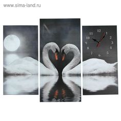 Часы настенные модульные Пара лебедей при лунном свете, 60 × 80 см Сюжет