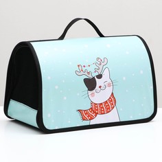 Сумка-переноска для животных каркасная Кошка на зелёном 45х25х30 см No Brand