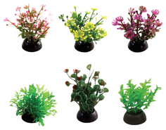 Набор растений для аквариума Laguna 1143LD, 5 см, 6 шт