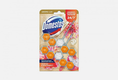 Блок для очищения унитаза Domestos