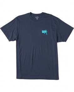 ФУТБОЛКА (ФУФАЙКА) ARCH SS M TEES 0021 Billabong