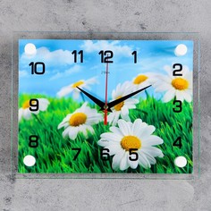 Часы настенные, серия: Цветы, "Ромашки", 20х26 см, микс Рубин