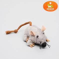 Игрушка для кошек "Грызун", 8,5 см Пижон