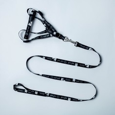 Комплект Grrr...wof, шлейка 36-49 см, поводок 120х1.5 см Пушистое счастье