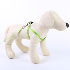 Комплект «Авокадо», шлейка 24-36 см, поводок 120х1 см Пушистое счастье