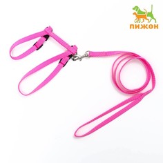 Комплект для кошек, ширина 1 см, ОШ 16,5-27 см, ОГ 21-35 см, поводок 120 см, розовый Пижон