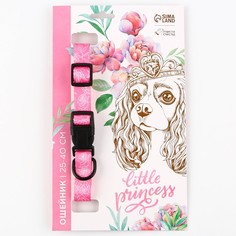 Ошейник My littlle princess, застёжка - фастекс, 2 см 25-40 см Пушистое счастье