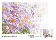 Фотообои Симфония Чудное мгновение 2,8х2 м К-135