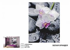 Фотообои СИМФОНИЯ Белая орхидея 2,0х1,4 м К-095