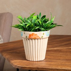 Кашпо "Оригинальное", разноцветное, керамика, d=12 см, 0.5 л, 1 сорт, Иран