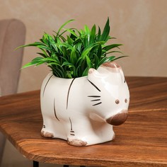 Кашпо "Зебра", разноцветное, керамика, 0.7 л, 1 сорт, Иран