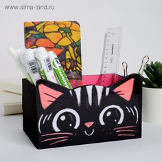 Органайзер для канцтоваров Черный котик 100 х 150 х 80 мм No Brand