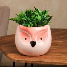 Кашпо "Сова", разноцветное, керамика, 1.1 л, 1 сорт, Иран