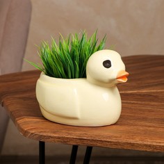 Кашпо "Уточка", разноцветное, керамика, 0.6 л, 1 сорт, Иран