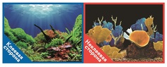 Фон для аквариума Prime Подводный мир/Морские кораллы, самоклеющийся, винил, 100x50 см P.R.I.M.E.