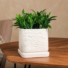 Кашпо "Квадрат", белое, керамика, 1.5 л, 1 сорт, Иран