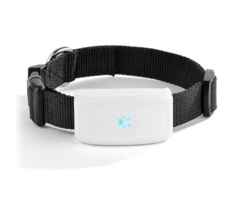 Ошейник для собак повседневный TK STAR, GPS, обхват шеи 30-40 см, полиуретан, черный