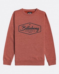 Детская Толстовка Billabong Trademark