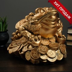 Копилка "Лягушка на монетах" 25х35см Хорошие сувениры