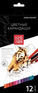 Набор цветных карандашей Аква-колор Изостудия, 12 цветов IZO-CP12