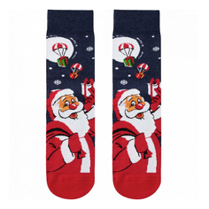 Носки мужские Брестские синие 25