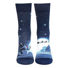 Носки мужские Брестские синие 27