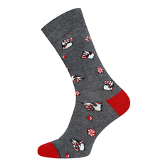 Носки мужские Брестские серые 25