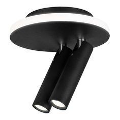 Светильник трековый спот Escada 20019 20019SMA/02LED SBK 13W LED