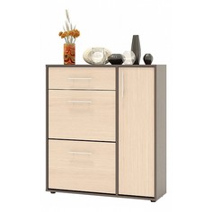 Обувница СОКОЛ ТП-4, дуб беленый/венге