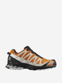 Кроссовки мужские Salomon Xa Pro 3D V8 GTX, Оранжевый