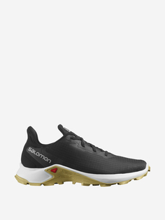 Кроссовки мужские Salomon Alphacross 3, Черный