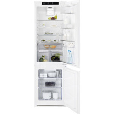Встраиваемый холодильник Electrolux LNT8TE18S3
