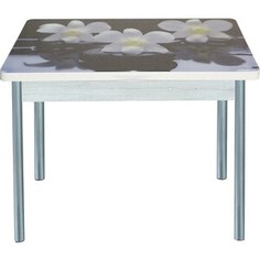Стол обеденный Катрин Симпл поворотно раскладной, с фотопечатью, бетон белый, орхидея на черных камнях, опора круглая серебристый металлик Katrin