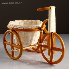 Кашпо Велосипед, 29×15×19 см, кашпо 20×12 см, ротанг No Brand
