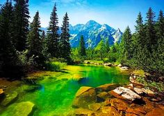 Пазлы Trefl Вид на Татры 37117