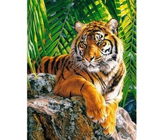 Алмазная мозаика картина стразами Тигр, 50х65 см No Brand