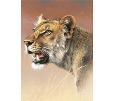 Алмазная мозаика картина стразами Львица, 50х65 см No Brand