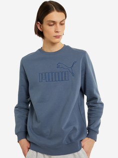 Свитшот мужской PUMA ESS+ Big Embroidery Crew, Серый