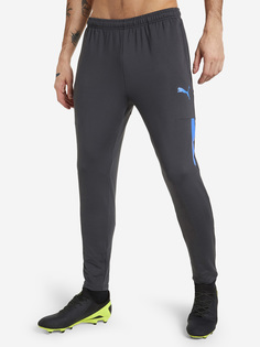 Брюки мужские PUMA Individualcup, Серый