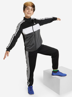 Костюм для мальчиков adidas Essentials Tiberio, Серый