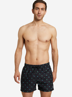 Шорты плавательные мужские Speedo, Черный